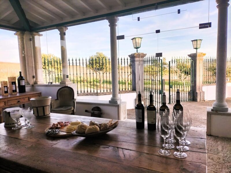 Winery, Tastings & 4WD Vineyards: Half-Day Trip from Lisbon - A Closer Look at the Experience