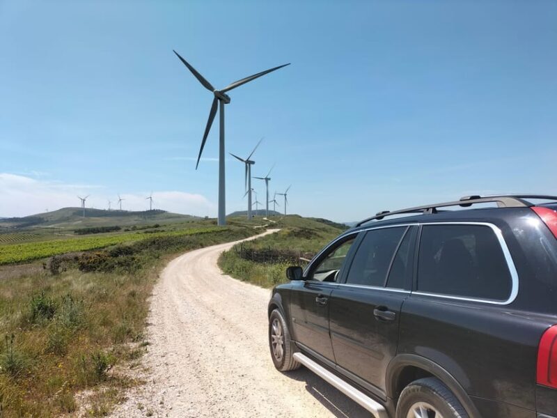 Winery, Tastings & 4WD Vineyards: Half-Day Trip from Lisbon - Detailed Breakdown of the Itinerary