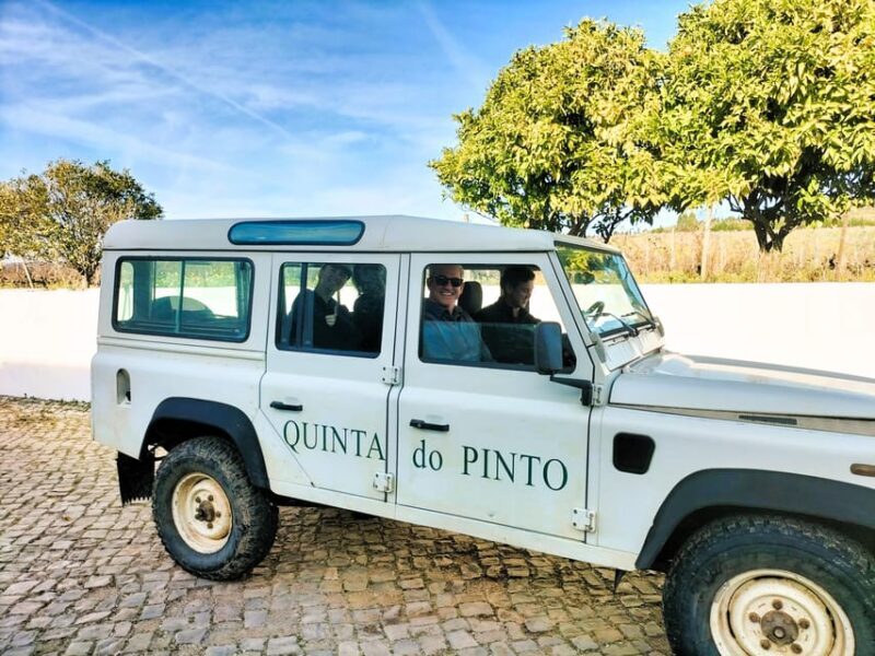 Winery, Tastings & 4WD Vineyards: Half-Day Trip from Lisbon - Value & Practical Tips