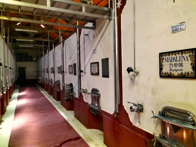 Winery, Tastings & 4WD Vineyards: Half-Day Trip from Lisbon - Who Should Book This Tour?