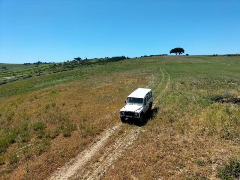 Winery, Tastings & 4WD Vineyards: Half-Day Trip from Lisbon - FAQ