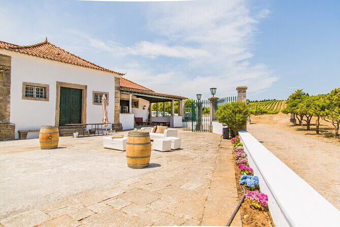 Winery, Tastings & 4WD Vineyards Ride, Half Day Trip from Lisbon - The Itinerary: What to Expect