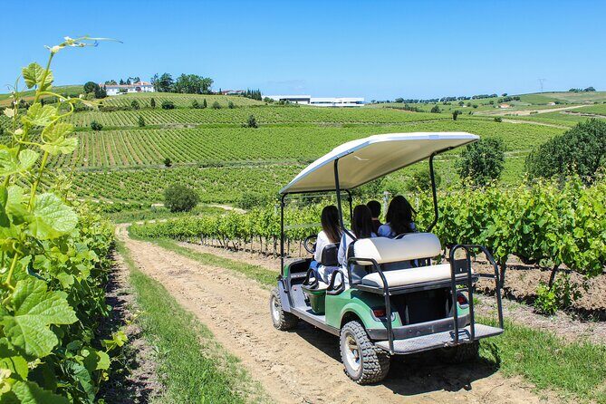 Winery, Tastings & 4WD Vineyards Ride, Half Day Trip from Lisbon - A Few Considerations