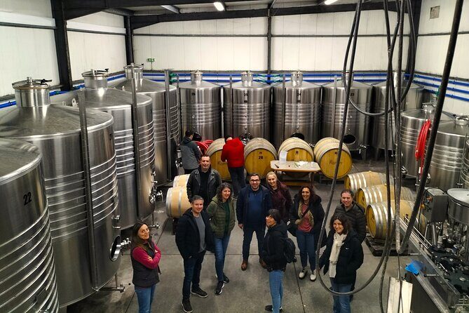 Winery, Tastings & 4WD Vineyards Ride, Half Day Trip from Lisbon - Final Thoughts