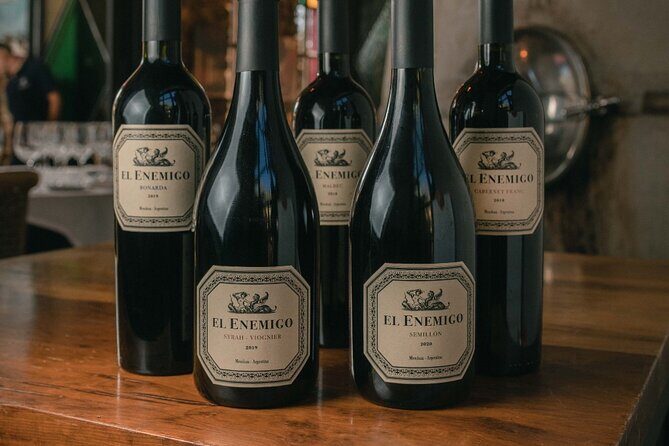 Winery The Enemy + Argentine Roast with Wine. Private transportation - Key Points