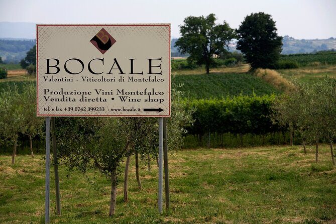 Winery Tour and Private Tasting in Montefalco - A Deep Dive into the Experience