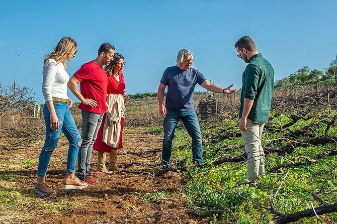 Winery Tour and Tasting in Tenerife with the Sommelier - Practical Details & Value