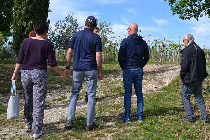 Winery Tour and Tasting of Garda Wines in Lazise - An In-Depth Look at the Winery Tour Experience