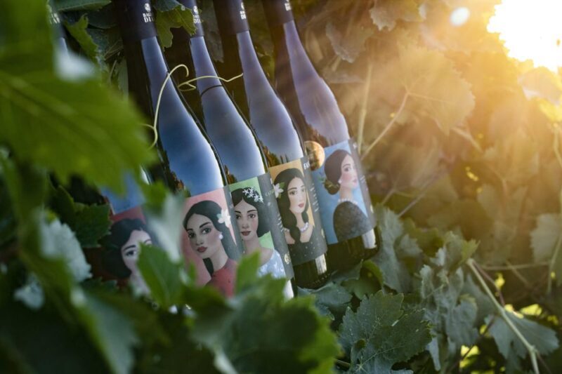 Winery tour and tasting of Sicilian organic wines in Marsala - Who Will Love This Tour?