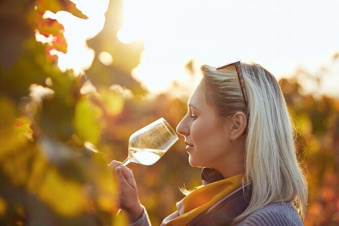 Winery Tour and Tasting with the Sommelier in KRK - Final Thoughts