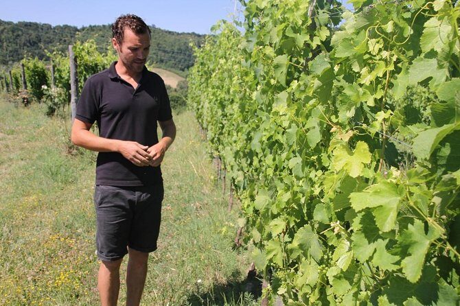 Winery tour and wine, cheese & charcuterie tasting - Why This Tour Works So Well