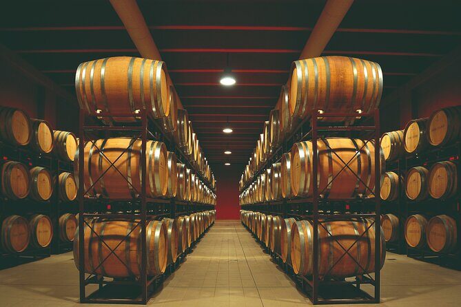 Winery Tour and Wine Tasting in Montepulciano d'Abruzzo - The Sum Up: Who Should Consider This Tour?