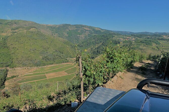 Winery Tour and Wine Tasting Quinta da Portela de Baixo in Lamego - In-Depth Review of the Quinta da Portela de Baixo Tour