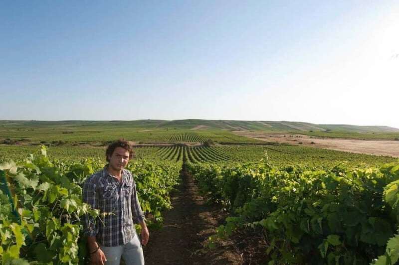 Winery tour in Marsala with wine tasting and local products - An Authentic Day of Wine and Culinary Delights in Marsala, Sicily