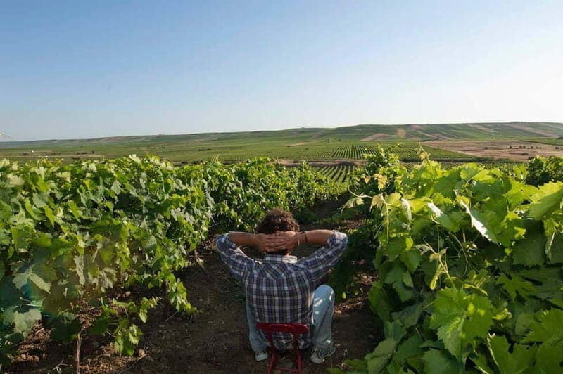 Winery tour in Marsala with wine tasting and local products - Key Points
