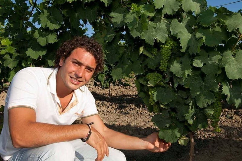Winery tour in Marsala with wine tasting and local products - Who Is This Tour Best For?