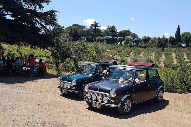 Winery Tour in Mini Cooper Classic Cabrio wine testing and lunch - A Detailed Look at the Winery Tour in Rome and the Countryside