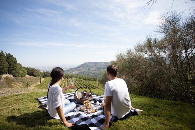 Winery Tour & picnic in the vineyard with a bottle of wine - Exploring the Vineyard and Cellar: A Guided Journey into Tuscan Winemaking