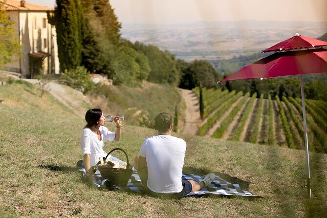 Winery Tour & picnic in the vineyard with a bottle of wine - The Delightful Picnic in the Vines