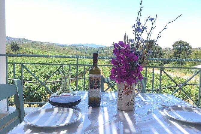 Winery Tour, Tasting and cooking with the Winemaker in Rhodes - Discovering Rhodes Through Wine and Food