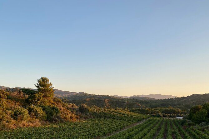 Winery Tour, Tasting and cooking with the Winemaker in Rhodes - Practical Details and Considerations