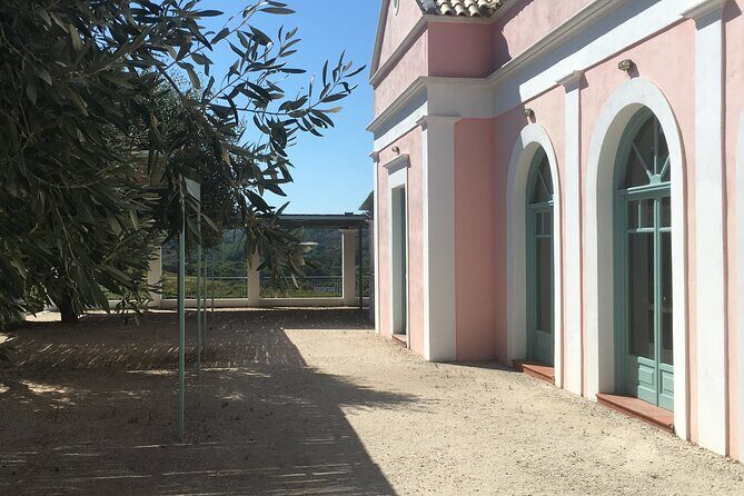 Winery Tour, Tasting and cooking with the Winemaker in Rhodes - FAQ