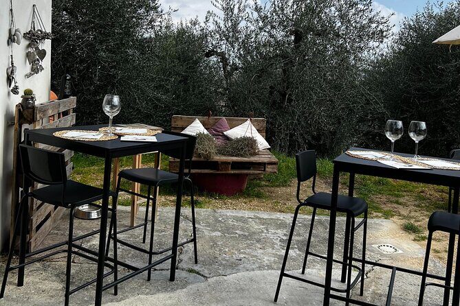 Winery Tour & Tasting in Pisa Countryside - A Closer Look at the Tuscany Winery Experience