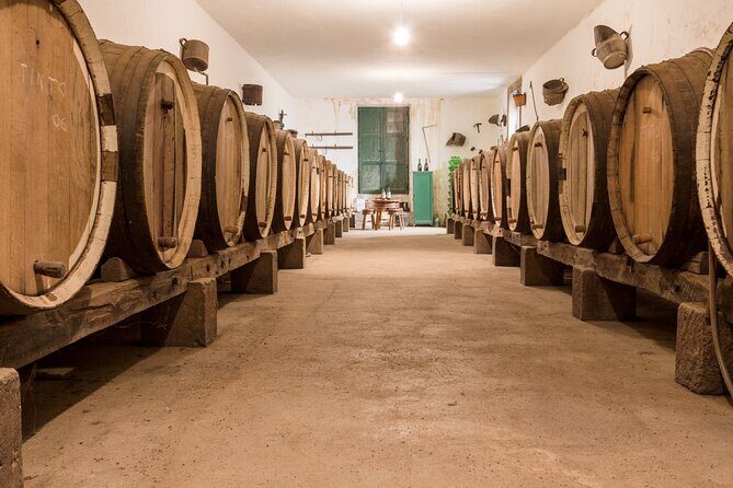 Winery Tour, Wine Museum, and Tasting in Gran Canaria - Key Points