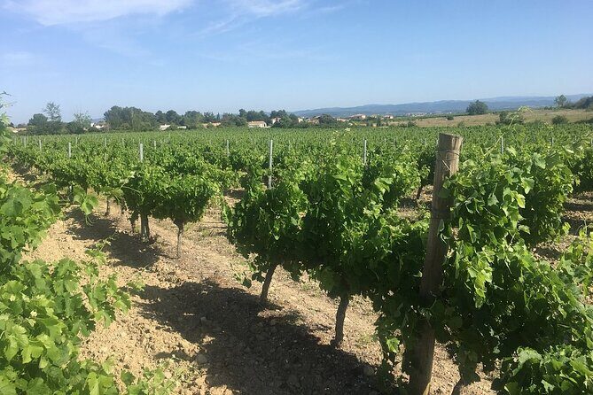 Winery Tour & Wine Tasting - Deli Plate & 3 Wines - The Personal Touch: Guided by the Winemaker