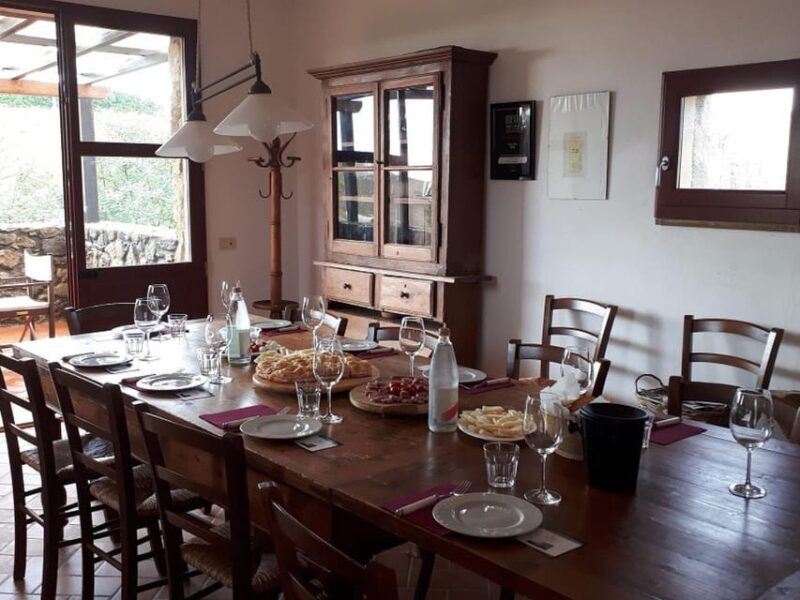 Winery Tour & Wine Tasting with Food near Livorno & Pisa - Practical Details and Value