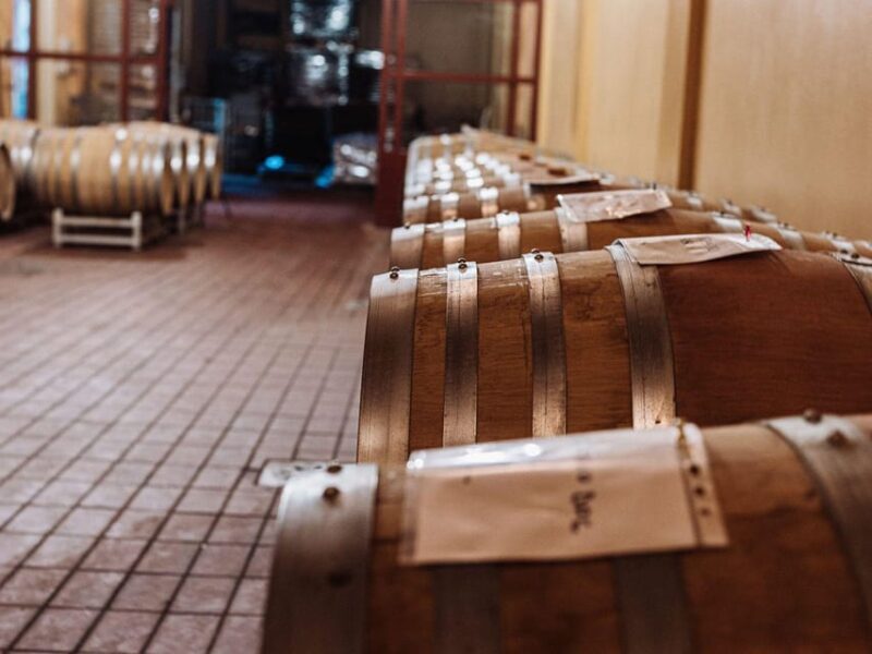 Winery Tour & Wine Tasting with Food near Livorno & Pisa - Who Should Consider This Tour?