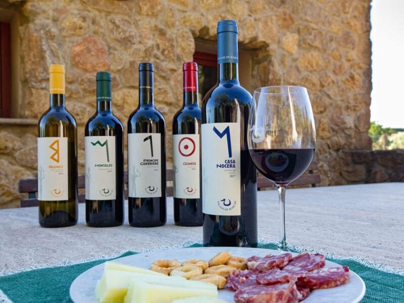 Winery Tour & Wine Tasting with Food near Livorno & Pisa - Final Thoughts