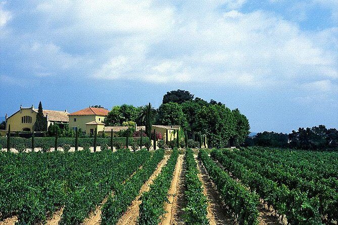 Winery Tour with Private Luxury Vehicle from Barcelona with Hotel pick up - Key Points
