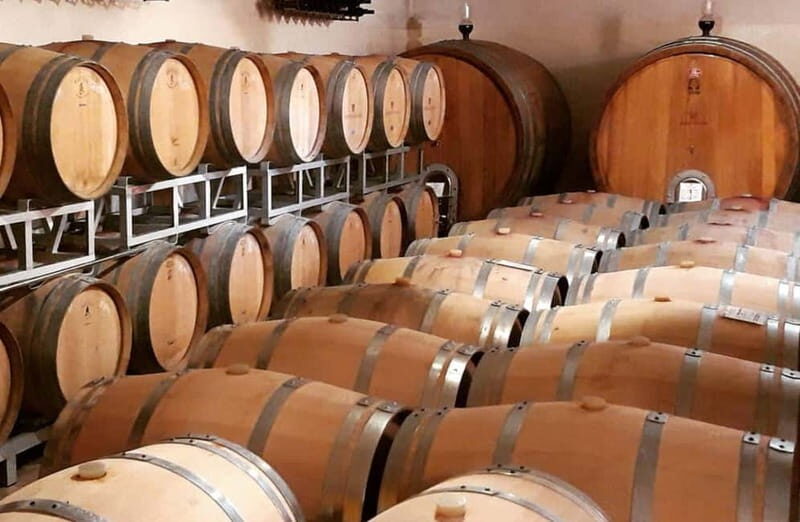 Winery Tour with Wine & Food Tasting near Riccione & Rimini - Value and Practical Tips