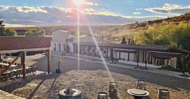 Winery touring & private wine tasting - one day private tour - Authenticity & Education: What Makes This Tour Stand Out