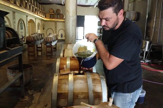 Winery Trapiche + Laur + Lunch in Tempus Alba. Private transfer - Who Should Consider This Tour?