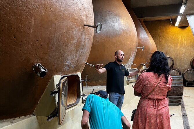 Winery & Valparaiso Private Tour - day trip from Santiago - FAQ