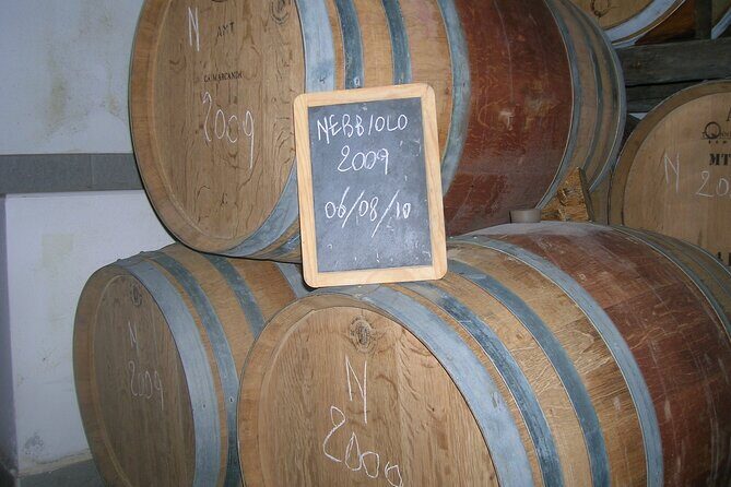 Winery Visit and Tasting of 2 D.O.C.Wines Fontechiara - The Sum Up