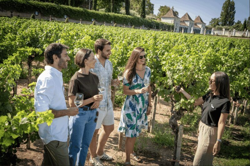 Winery Visit & Fish Market Tour with Tasting from Lisbon - Overview: A Day of Wine, Culture, and Coastal Charm in Portugal