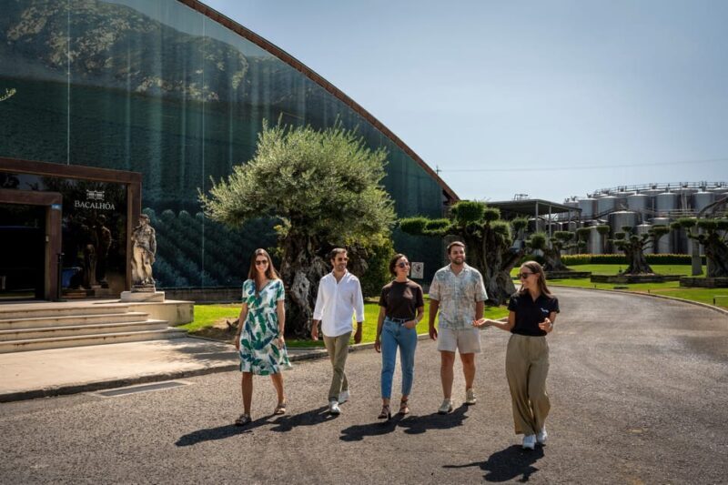 Winery Visit & Fish Market Tour with Tasting from Lisbon - Authenticity and Experience: What Travelers Say