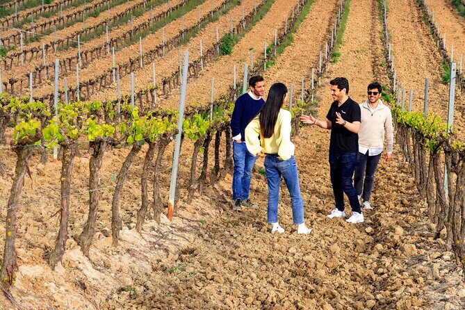 Winery Visit & Setubal Fish Market Tour with Tasting from Lisbon - Final Thoughts