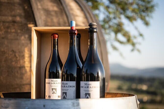 Winery visit / tasting in the vineyards, Mas des Escarades - An In-Depth Look at the Winery Visit / Tasting in Avignon