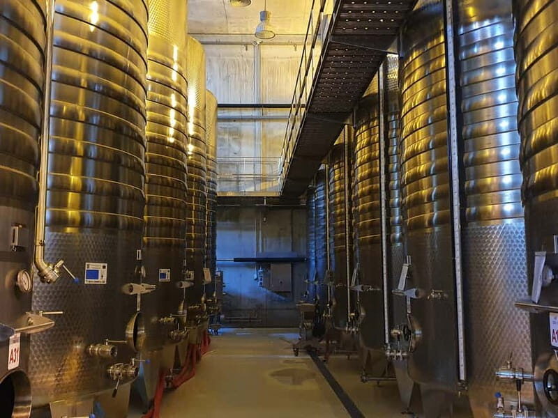 Winery visit & Wine Tasting: half-day tour - Key Points