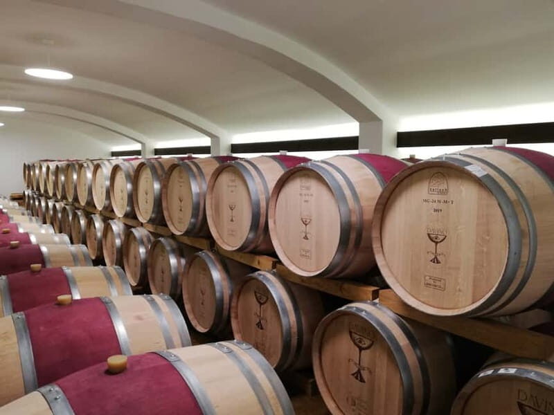 Winery visit & Wine Tasting: half-day tour - Who Should Consider This Tour?