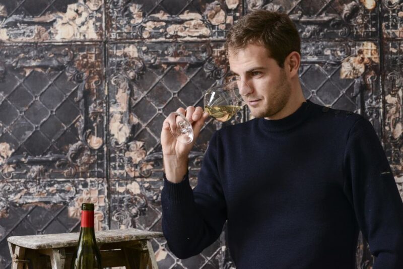 Wines and cheeses tasting experience at home - An in-depth look at the wine and cheese at-home tasting experience