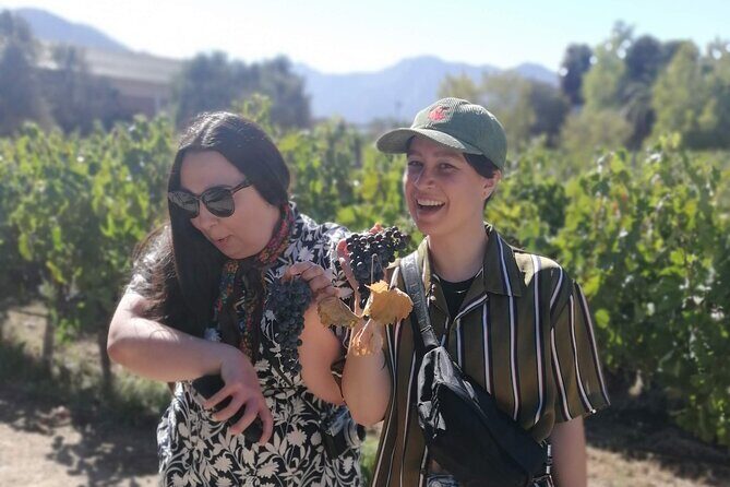 Wines-and-Valparaiso-Tour - A Detailed Look at the Wines-and-Valparaiso-Tour