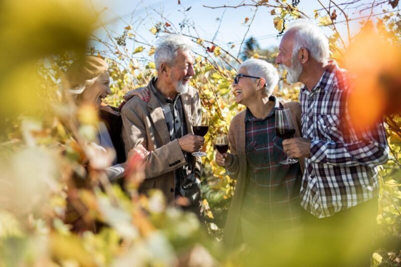 Wines and Whispers: A Barossa Valley Wine Tour from Adelaide - Who Is This Tour Best For?