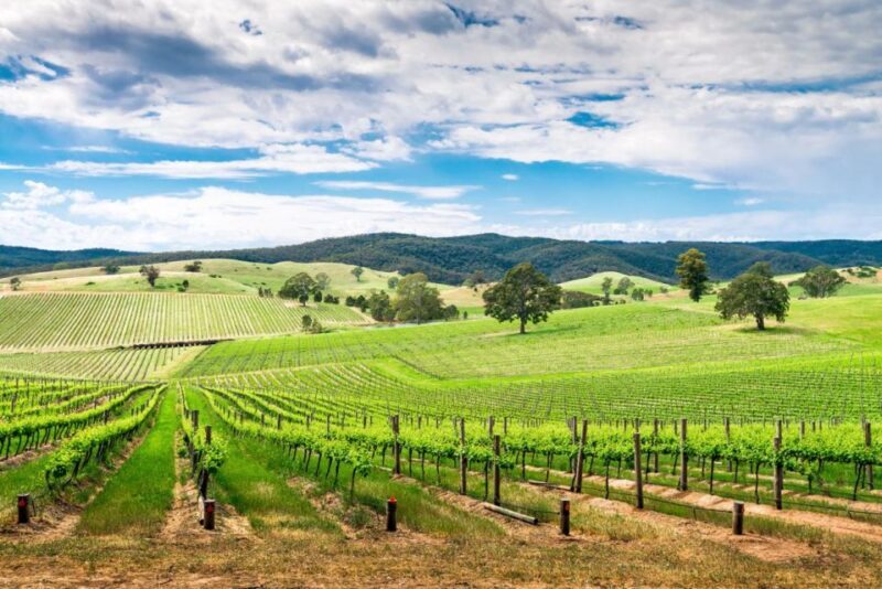 Wines and Whispers: A Barossa Valley Wine Tour from Adelaide - FAQ