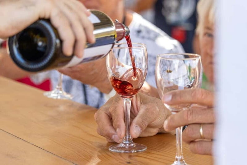 Wines of Rhodes: Traditional Wine Tasting in the vineyards - Who Will Love This Tour?