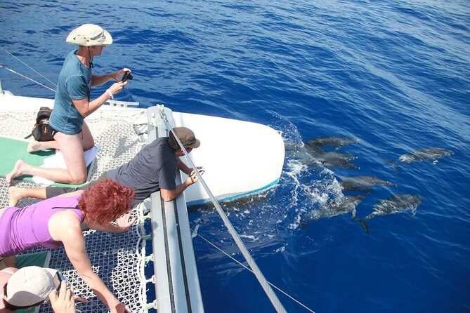 Wines Tasting Experience and Skywalk with Dolphin Watching - What Makes This Tour Stand Out?